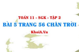 Bài 5 trang 56 Toán 11 Tập 2 Chân trời sáng tạo